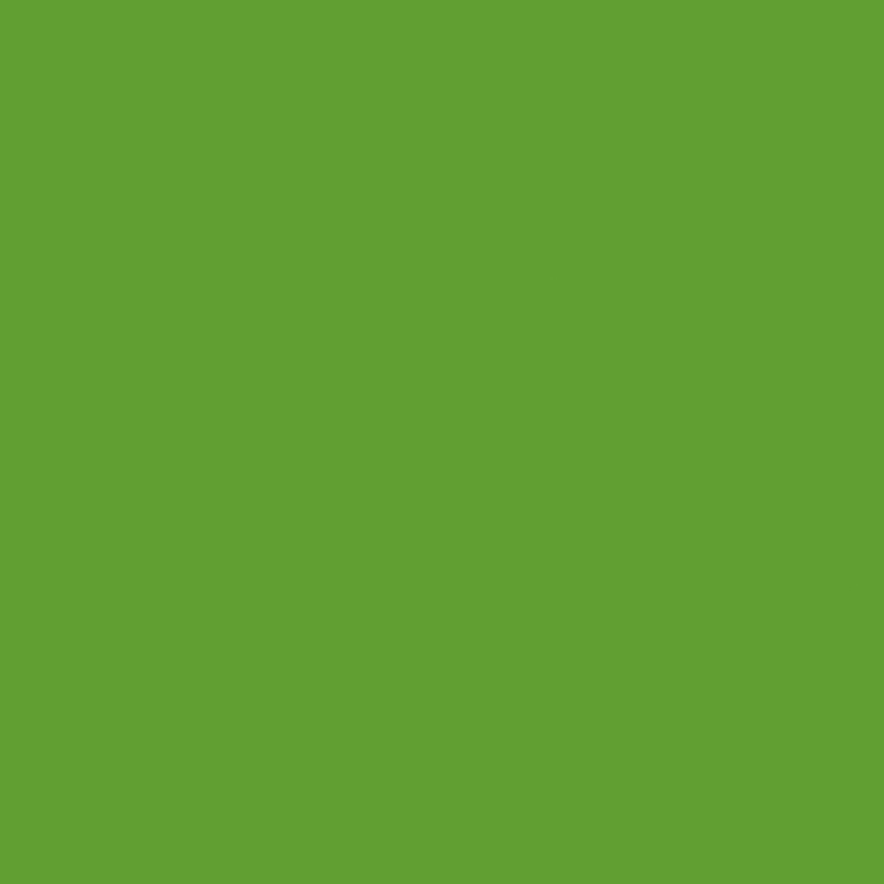 ฟิล์มถ่ายโอน PET Apple Green สำหรับตกแต่งบ้าน